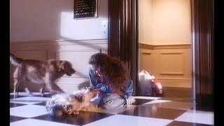 Tvc - Good-O Dog Food 1994