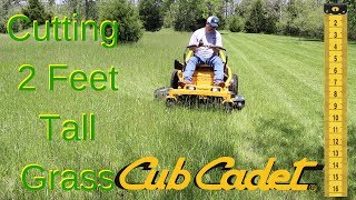 Cub Cadet Ultima ZT1 50 Cutting 2 Foot Tall Grass!