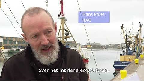 Het VISTools project