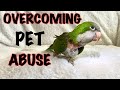 Overcoming pet abuse (Kiwi the Quaker Parrots story)