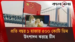প্রতি বছর যেভাবে কোটি কোটি হাঁস উৎপাদন করছে চীন | China | Duck Farming | Kalbela