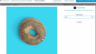 Covet.pics Shopify Gallery Tagging Products screenshot 3