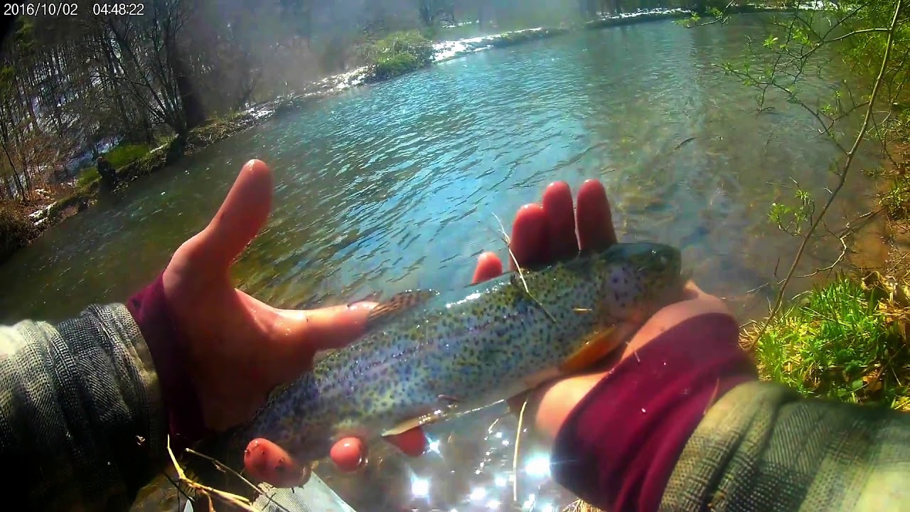Trout Camp 2020: Clinton County, PA