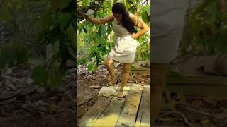 فیٹ ہلس کروس ویڈیوز