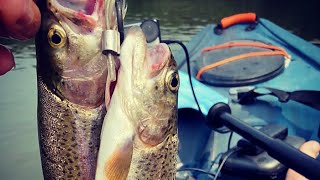KAYAK FISHING THE UPPER IOWA RIVER!!! Walleye and Trout in the Same Place!