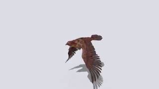 [Asset Store] Brown Bird Animation