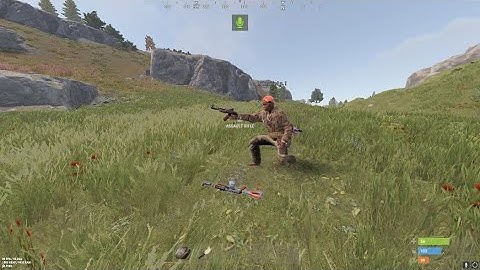 why u never trust anyone in rust