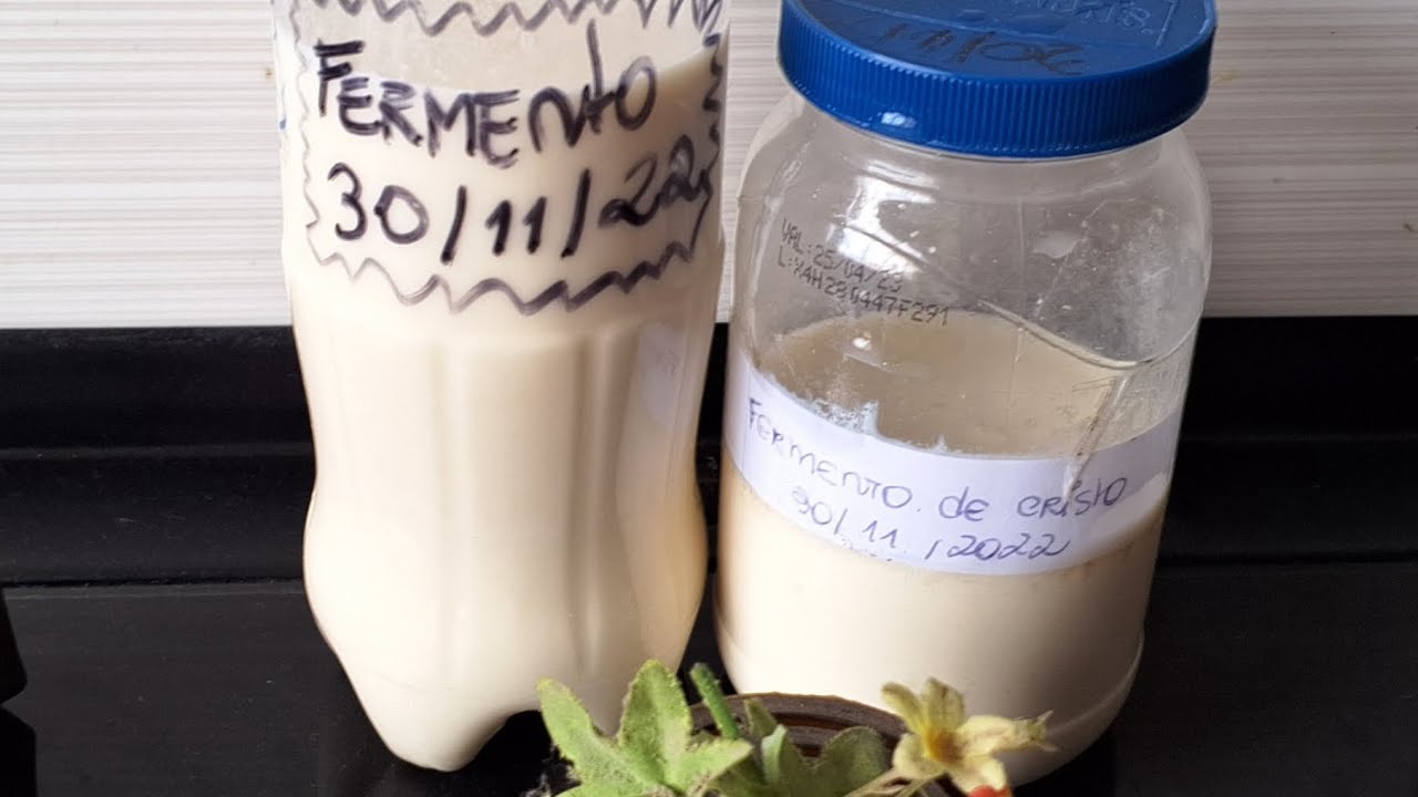 Reforma  do fermento natural de cristo, sem descartar o fermento.