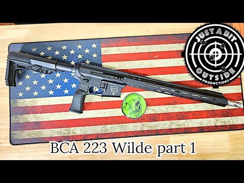 Bear Creek Arsenal 223 Wilde Part 1