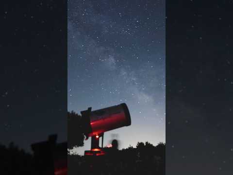 Naturspirit - Observación