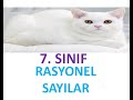 7. SINIF RASYONEL SAYILAR-1