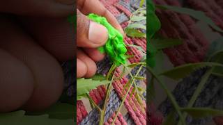 ASMR satisfying outdoor short #asmr #satisfying #relxing #asmrhadii