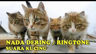 BAGUS BANGET BUAT NADA TELEPON||HP||HANDPHONE RINGTONE||NADA DERING SUARA ANAK KUCING