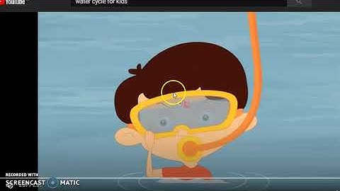 CLASS 5 EVS CHAPTER 7 