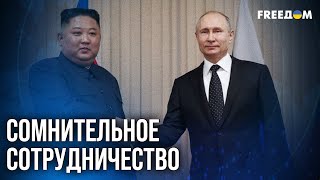 💬 Артиллерия, снаряды и пехота: Путин УЖЕ НЕ МОЖЕТ без помощи КНДР