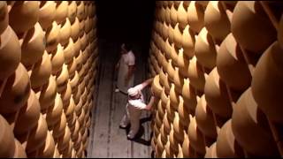 The Making Of Parmigiano Reggiano Cheese  Part 1