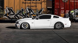 Bagged 5.0 Mustang dressed in the WELD Performance RF Laguna + Beadlock