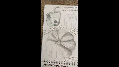 Annotating GCSE Artwork