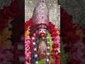 #tarapithmandir darshan on #diwali2025 #happykalipuja from Team #foodka  #streetfood #tarapithtour