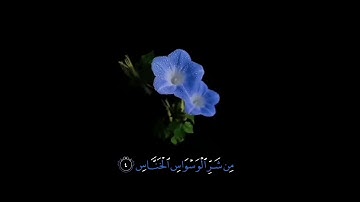 صباح الخير 💙اجمل حالات واتس اب💙 مقاطع اسلاميه قصيره💙 قران كريم سورة الناس💙 بصوت جميل💙 بدون حقوق