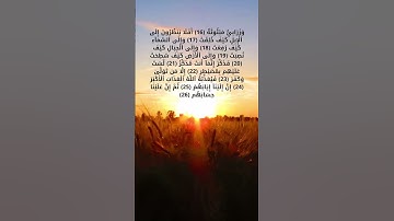 سورة الأعلى بأروع الأصوات لراحة النفسية من الآية 11 حتى الآية 19