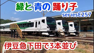 【E257系5000番台】緑の踊り子号でしか体験できない4号車普通席に乗車してみた