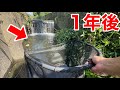 外来アユが大発生した水路の1年後生態系に驚きの変化が...