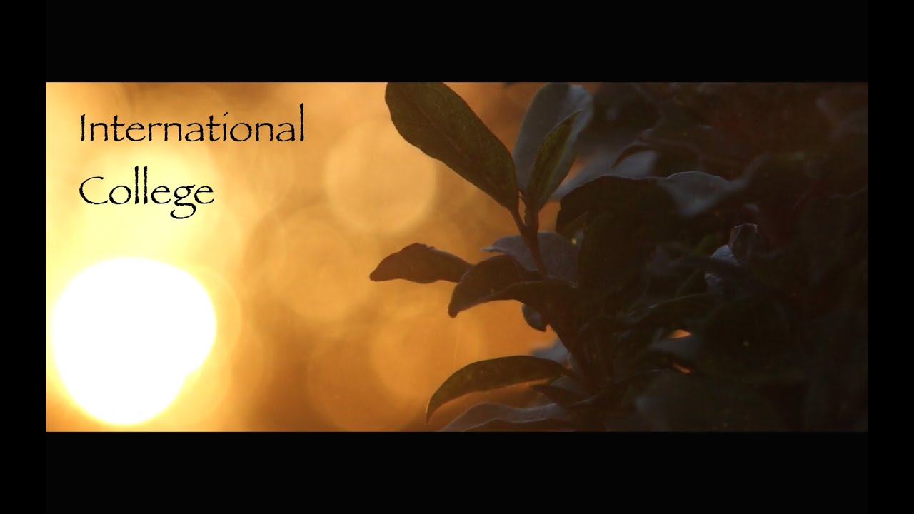 Manly International College Glide Gear DNA1000 Test YouTube