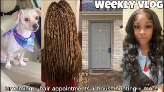 WEEKLY VLOG | Grooming appointment, hair appointments, house hunting \& more !