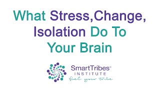 What Stress, Change, Isolation Do To Your Brain