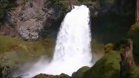 سورة البينة     بصوت سعود الشريم         … saud ashshorim  surat albaina