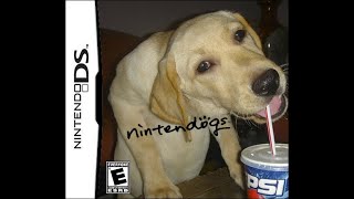 Nintendogs + Cats Junior Cup Speedrun in 5:42 by JustFive