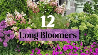 These Are The Longest Blooming Perennials In The Garden