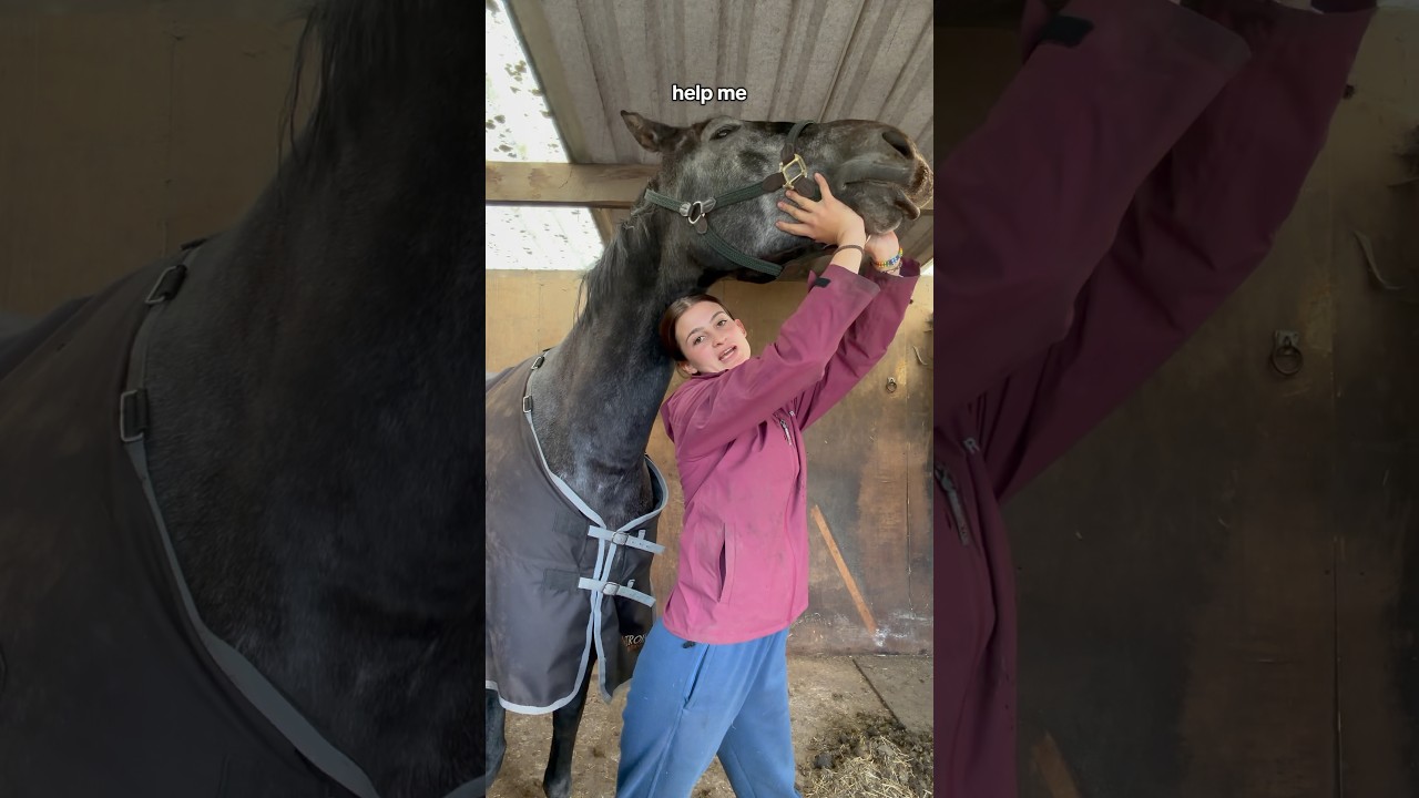 Сезон глистогонки 