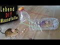 Mausefalle + lebende MAUS fangen +Tutorial