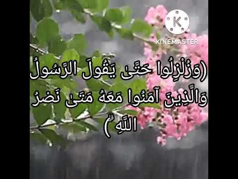 وز ل ز لوا حتى يقول الرسول والذين آمنوا معه متى نصر الله قرآن كريم راحة نفسية