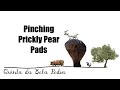 Bela Pedra, my Portuguese Farm: Part 10 (Pinching Prickly Pear Pads)