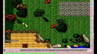 tibia nidzz and ghost mage the best pawners inferna have ever seen