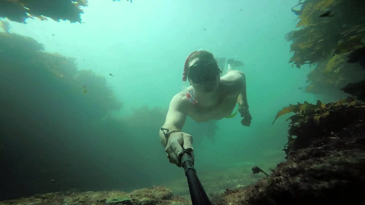 Freediving Perth Summer 2014/2015 YouTube