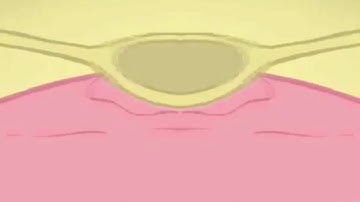 How Do You Make Weird Code on MegaPhoto?