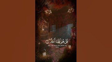 سورة الإخلاص – سورة التوحيد | تلاوة جميلة Surah Al-Ikhlas ومؤثرة