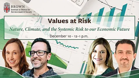Values at Risk: Nature, Climate, and the Systemic Risk to our Economic Future