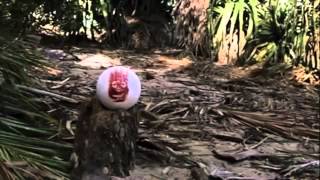 Cast Away Spoof