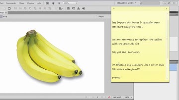 Adobe Fireworks Tutorial: Replace Color Tool Part 1