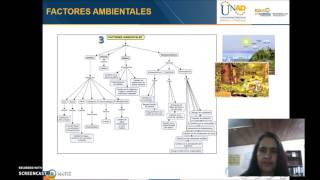 Evaluacion del Impacto Ambiental Fase II