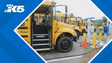 Lake Washington  schools unveil new electric bus fleet