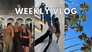 WEEKLY VLOG florida life friends honey swim bts