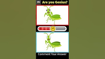 Can You Find 3 Hidden Mistakes? 👀 | Puzzle Challenge #findthedifference #viral #youtube #shorts