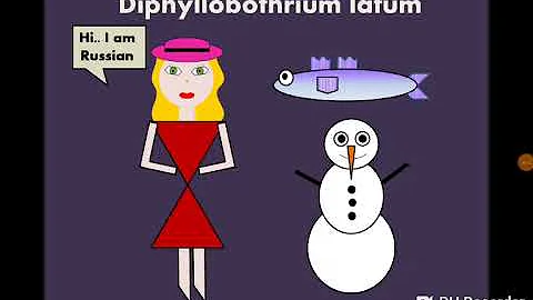 Diphyllobothrium latum (Fish/Broad Tapeworm)