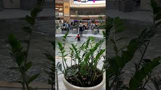 Swimming in the fountain.  Ben Gurion airport Israel